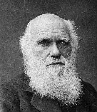 Portait de Charles Darwin, philosophe.